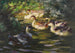 Sei anatre sull'acqua sotto cespugli di riva - Alexander Koester — vista dell’opera