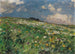 Prairie d'été - Alexander Koester — vista dell’opera