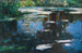 Fiori dello stagno, Altwasser vicino a Brixen - Alexander Koester — vista dell’opera