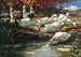 Dodici anatre alla fontana - Alexander Koester — vista dell’opera