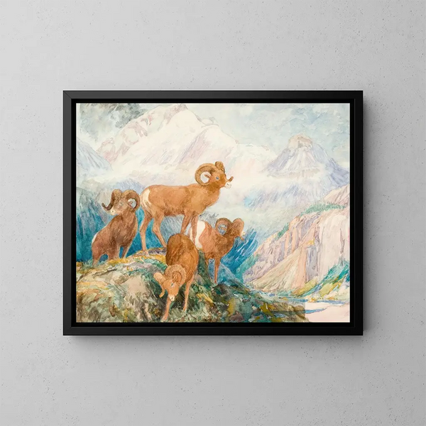 Muflone dei Big Horn - Alexander Phimister Proctor — quadro incorniciato alla parete