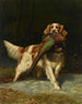 Springer Spaniel con fagiano - Alexander Pope — vista dell’opera