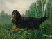 Setter Gordon in un paesaggio - Alexander Pope Jr — vista dell’opera