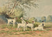 Sei Jack Russell Terrier - Alexander Pope Jr — vista dell’opera