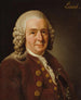 Carl von Linné 1707-1778 botanista professore - Alexander Roslin — vista dell’opera