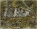 Foresta con rocce - Alexandre Cabanel — vista dell’opera