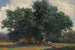Paesaggio con querce - Alexandre Calame — vista dell’opera