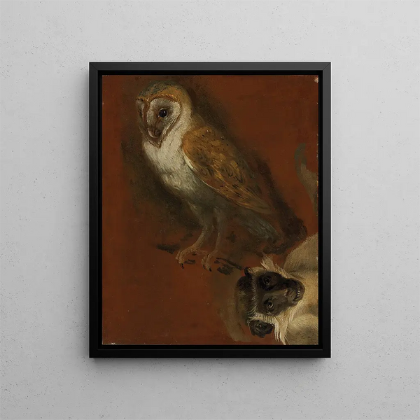 Studio di un gufo con uno studio frammentario di una scimmia - Alexandre François Desportes — quadro incorniciato alla parete
