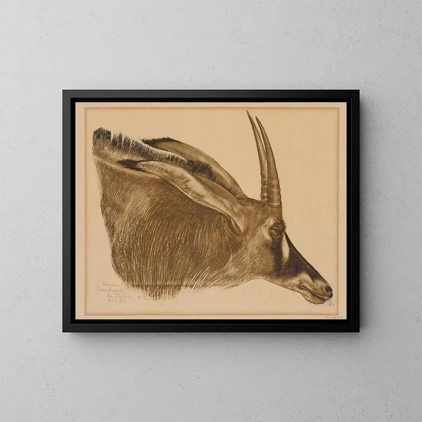 Antilope hippotrague - Alexandre Iacovleff — quadro incorniciato alla parete