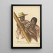 Disegni e dipinti d'Africa pl 47 - Alexandre Iacovleff — quadro incorniciato alla parete