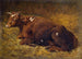 Una mucca sdraiata sul suolo - Alfred Baker — vista dell’opera