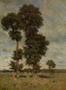 Paesaggio - Alfred de Knyff — vista dell’opera