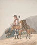 Venditore di legna da ardere a Tenerife - Alfred Diston — vista dell’opera