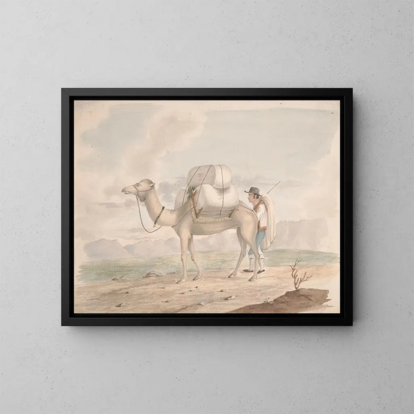 Cammello caricato - Alfred Diston — quadro incorniciato alla parete