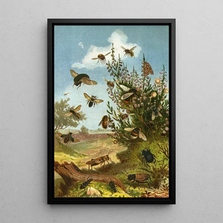 Alfred Edmund Brehm - Die Insekten Tausendfussler und Spinnen Pl 01.webp