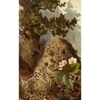 Alfred Edmund Brehm - Die Insekten Tausendfussler und Spinnen Pl 09.webp