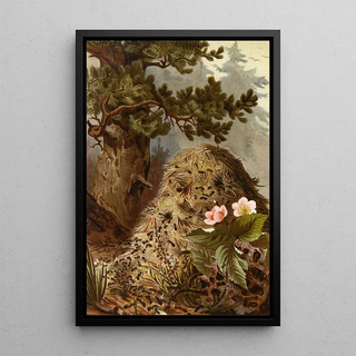 Alfred Edmund Brehm - Die Insekten Tausendfussler und Spinnen Pl 09.webp