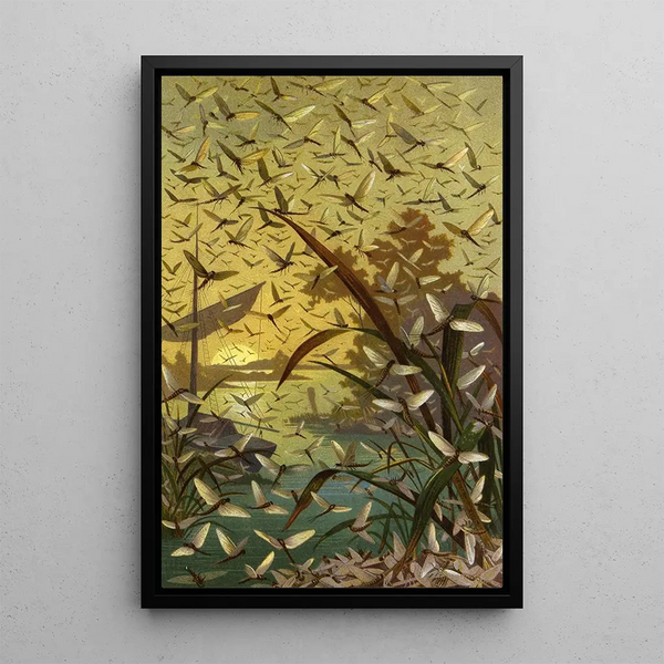 Alfred Edmund Brehm - Die Insekten Tausendfussler und Spinnen Pl 14.webp