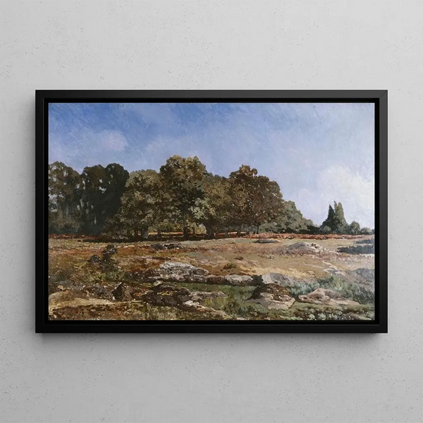 Alfred Sisley - Lisire de la fort de Fontainebleau.webp