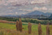 Paesaggio con spighe di mais - Alfred Zoff — vista dell’opera