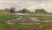 Paesaggio fluviale con paludi - Alice Marion Curtis — vista dell’opera