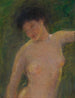 Dans l'ombre - Alice Pike Barney — vista dell’opera