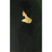 Laura in nero - Alice Pike Barney — vista dell’opera