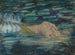 Ophelia - Alice Pike Barney — vista dell’opera