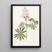 Lupin - Alida Withoos — quadro incorniciato alla parete