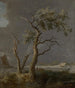 degli alberi sul bordo dell'acqua - Allaert van Everdingen — vista dell’opera