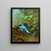 Tangara del Costa Rica e bel cotinga - Allan Brooks — quadro incorniciato alla parete