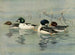 GoldenEye Barrows - Allan Brooks — vista dell’opera