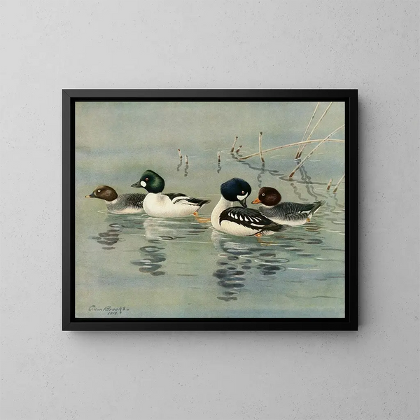 GoldenEye Barrows - Allan Brooks — quadro incorniciato alla parete