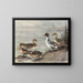 Canard pilet cileno - Allan Brooks — quadro incorniciato alla parete