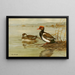 Nette rousse - Allan Brooks — quadro incorniciato alla parete
