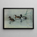 Canard à collier - Allan Brooks — quadro incorniciato alla parete