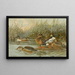 Canard souchet - Allan Brooks — quadro incorniciato alla parete