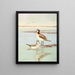 Phalarope di Wilson - Allan Brooks — quadro incorniciato alla parete