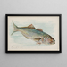 Pesce blu - Allen Ginter — quadro incorniciato alla parete