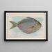 Poisson-butter - Allen Ginter — quadro incorniciato alla parete