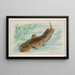 Poisson-chat - Allen Ginter — quadro incorniciato alla parete