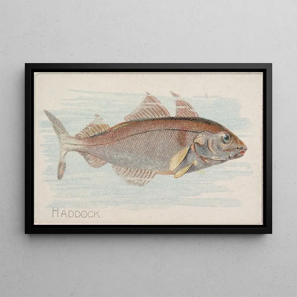 Eglefin - Allen Ginter — quadro incorniciato alla parete