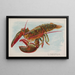 Homard - Allen Ginter — quadro incorniciato alla parete