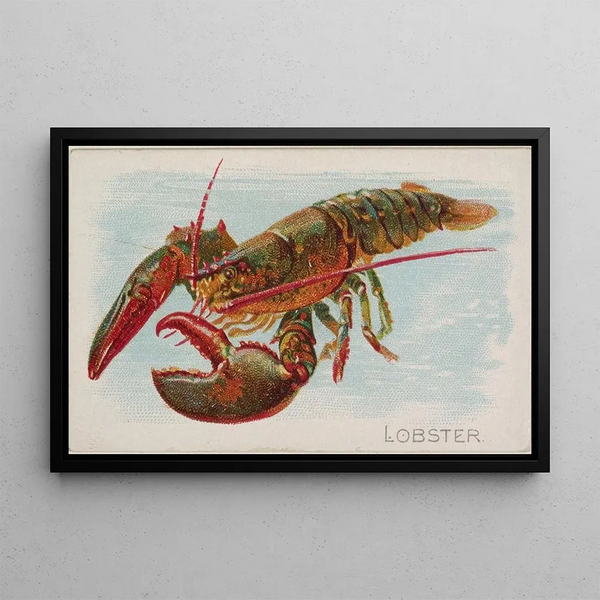 Homard - Allen Ginter — quadro incorniciato alla parete