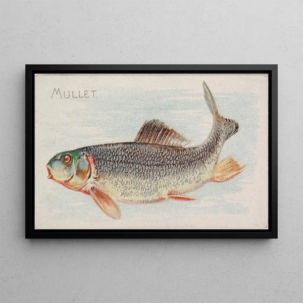 Mulet - Allen Ginter — quadro incorniciato alla parete