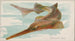Pesce-scie - Allen Ginter — vista dell’opera