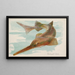 Pesce-scie - Allen Ginter — quadro incorniciato alla parete