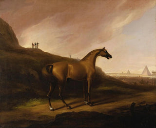 Il cavallo di Napoleone - Alvan Fisher — vista dell’opera
