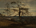 Pin dei fiordi di Setesdal - Amaldus Nielsen — vista dell’opera