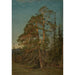 Furuer Levanger - Amaldus Nielsen — quadro incorniciato alla parete